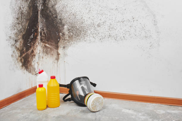 Water Damage Restoration in New Madison, OH