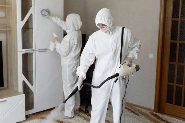 Best Residential Mold Removal  in New Madison, OH